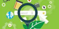 Organic search engine optimization company in South Africa Organic search engine optimization company in South Africa