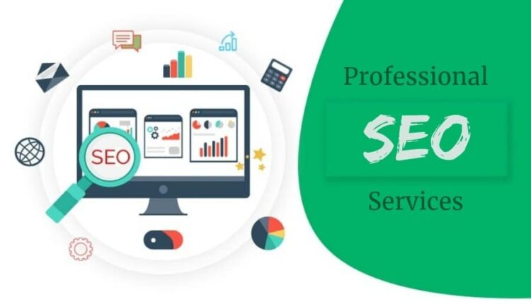 Professional search engine optimization company in south africa Professional search engine optimization company in south africa
